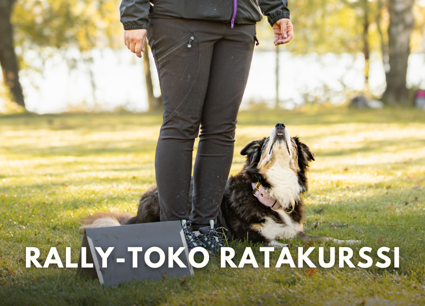 Rally-toko ratakurssi ALO-MES (Pe 30.1.-13.2.2026 klo 20.00)