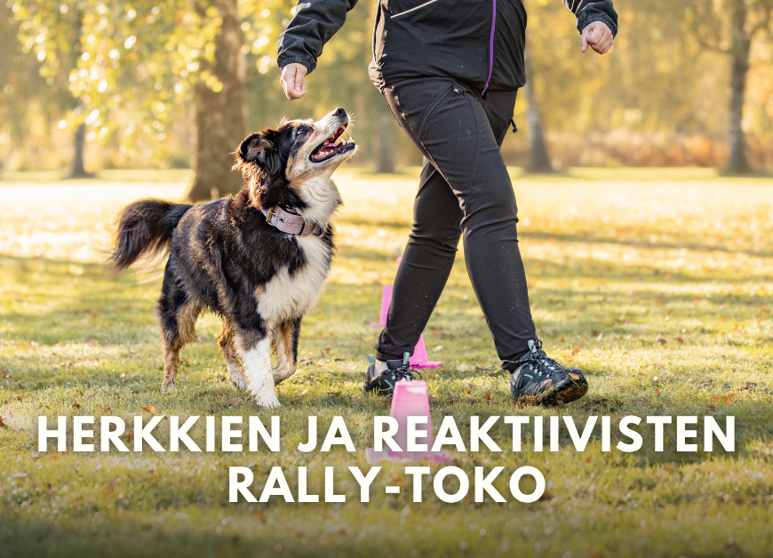 Herkkien ja reaktiivisten rally-toko 6x (Ma 28.9.-9.11.2026 klo 20.00)