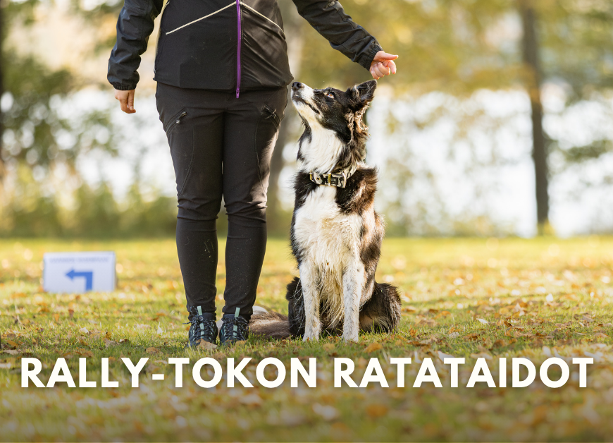 Rally-toko ratataidot (Ma 17.8.-14.9.2026 klo 19.00)