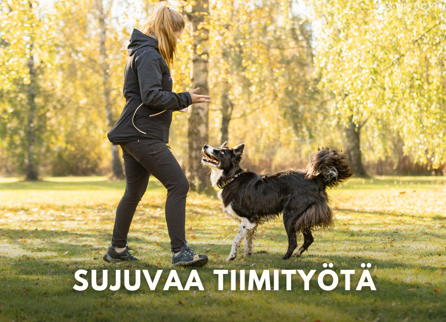 Sujuvaa tiimityötä 5x (Pe 20.2.-20.3.2026 klo 18.00)