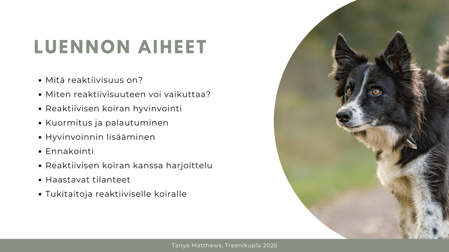 Reaktiivinen koira -luentotallenne