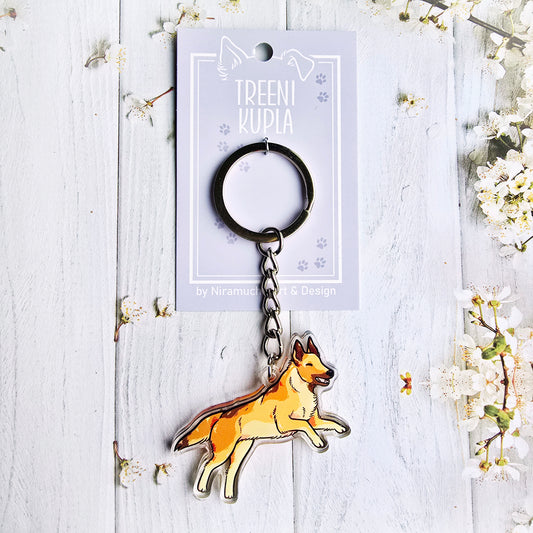 Malinois avaimenperä