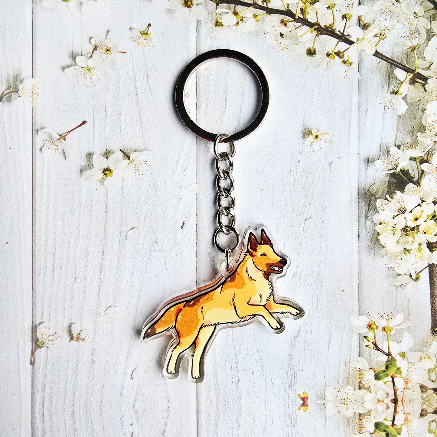 Malinois avaimenperä