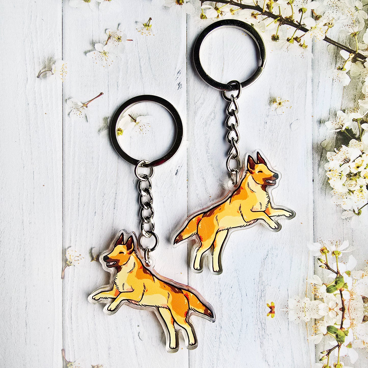 Malinois avaimenperä