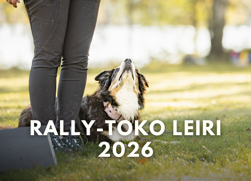 Rally-toko leiri 1 (27.6.-28.6.2026)