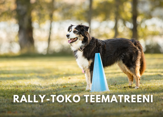 Rally-toko teematreeni - Lähtö ja kehärutiinit (Ma 5.10.2026 klo 18.00)