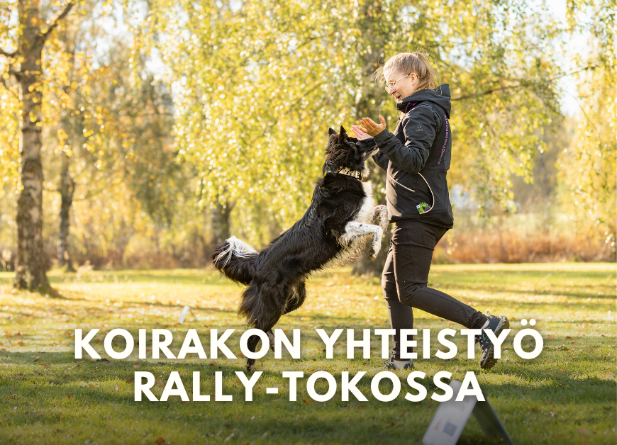 Koirakon yhteistyö rally-tokossa workshop 3.8.2026