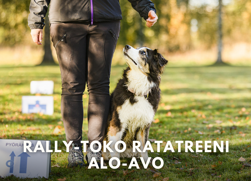 Rally-toko ratatreeni ALO-AVO (Pe 9.1.2026 klo 19.00)