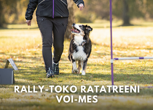 Rally-toko ratatreeni VOI-MES (Pe 16.1.2026 klo 19.00)