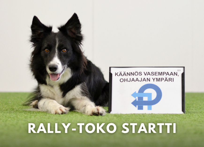 Rally-toko startti | Alkeiskurssi 8x (Pe 6.3.-8.5.2026 klo 17.00)